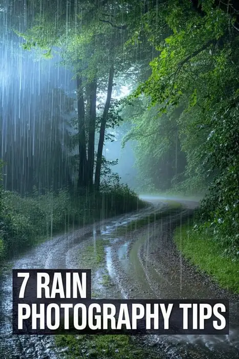 How to Take Stunning Nature Photography (Beginner to Pro)